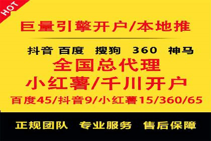 竞价广告与自然搜索的结合策略：XX网站的案例分析